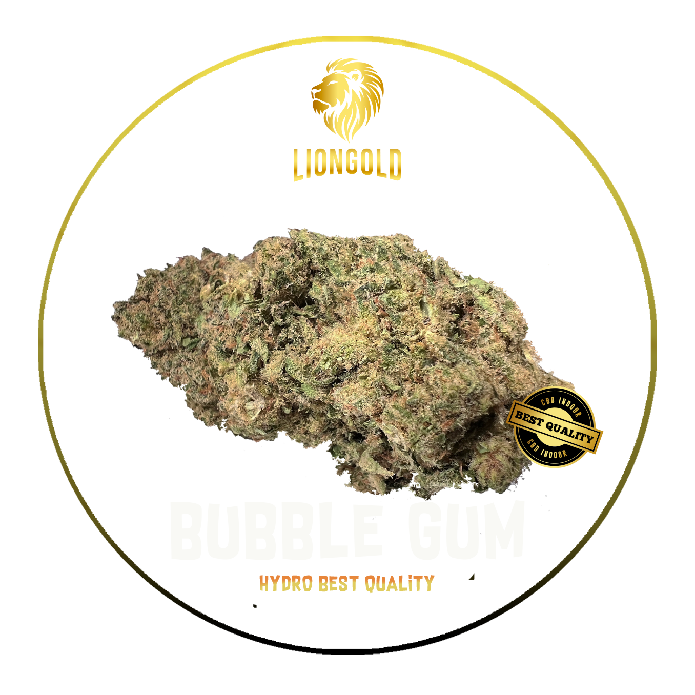 Bubble Gum