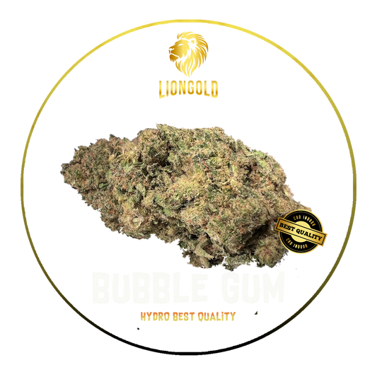 Bubble Gum