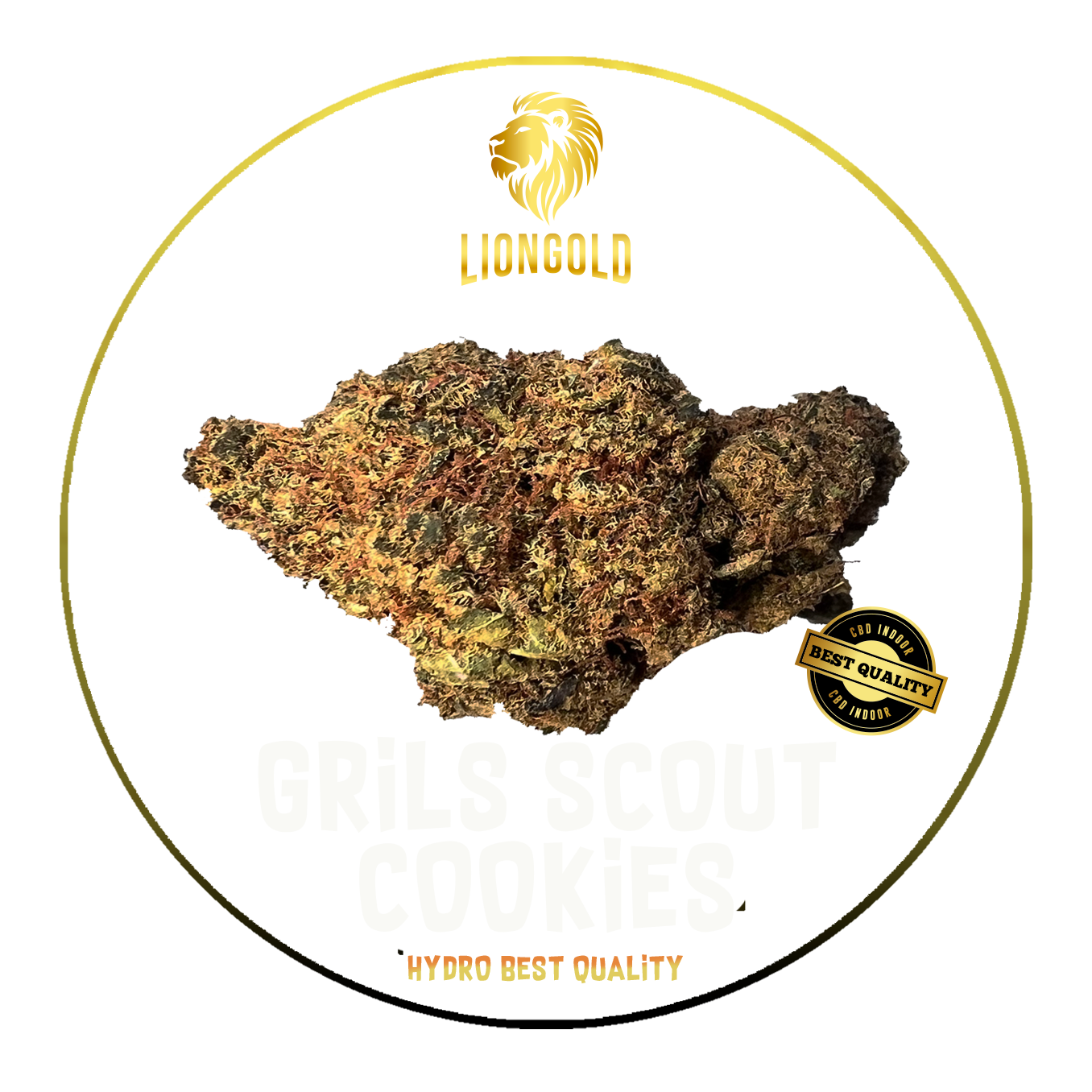 Girl Scoot Cookie