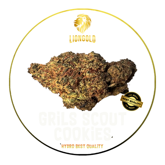 Girl Scoot Cookie