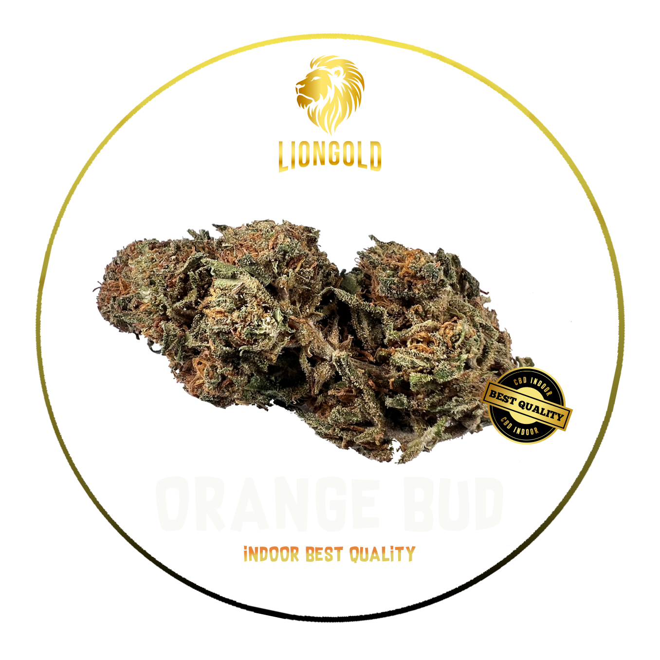 Orange Bud