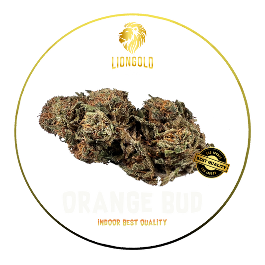 Orange Bud